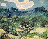 Vincent Van Gogh Canvas Paintings - The Olive Trees